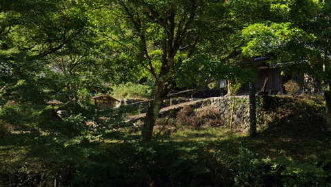 スクリーンショット 2024-09-13 194033