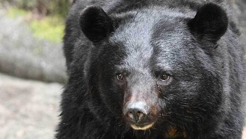 スクリーンショット 2025-08-27 083019