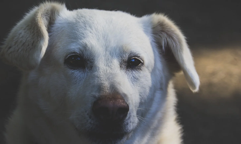 スクリーンショット 2026-03-27 205947