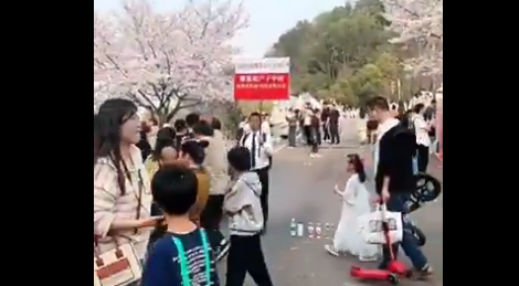 スクリーンショット 2025-10-08 085719