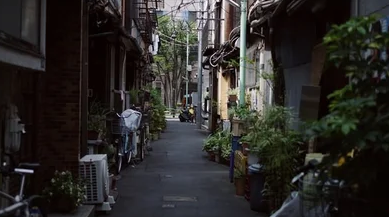 スクリーンショット 2024-12-02 080803