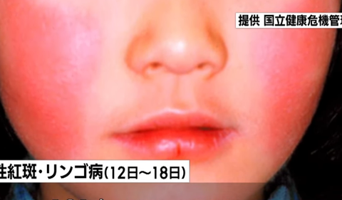 スクリーンショット 2025-04-20 095838