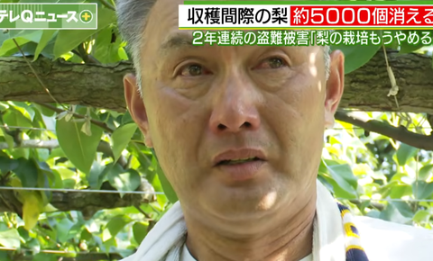 スクリーンショット 2025-10-08 092756