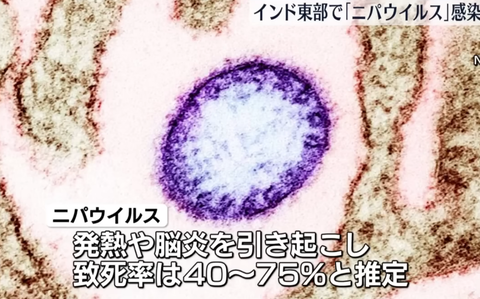 スクリーンショット 2025-08-27 083019