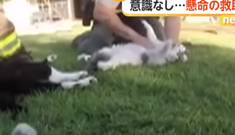 スクリーンショット 2025-10-08 092756