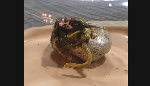 スクリーンショット 2025-04-20 095838