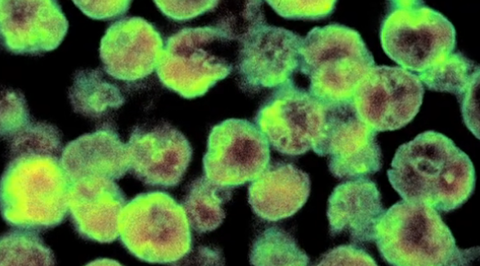 スクリーンショット 2025-07-16 093756