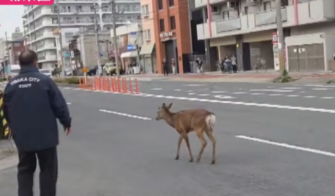 スクリーンショット 2025-10-08 085719