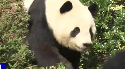 スクリーンショット 2025-08-27 083019