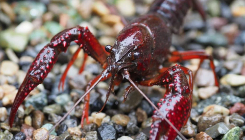 スクリーンショット 2025-08-27 083019