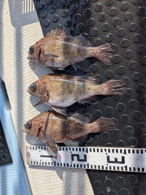 PXL_20260128_045138832