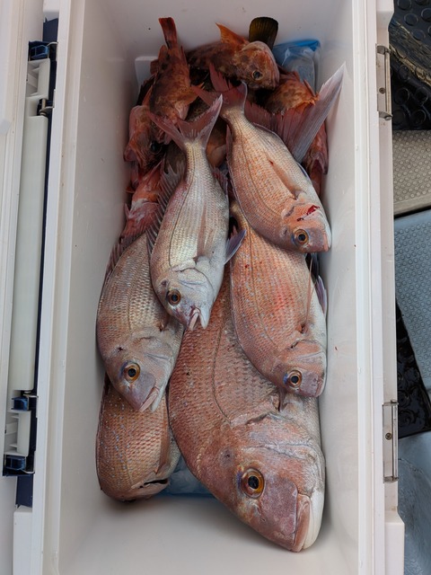 PXL_20251210_063625051