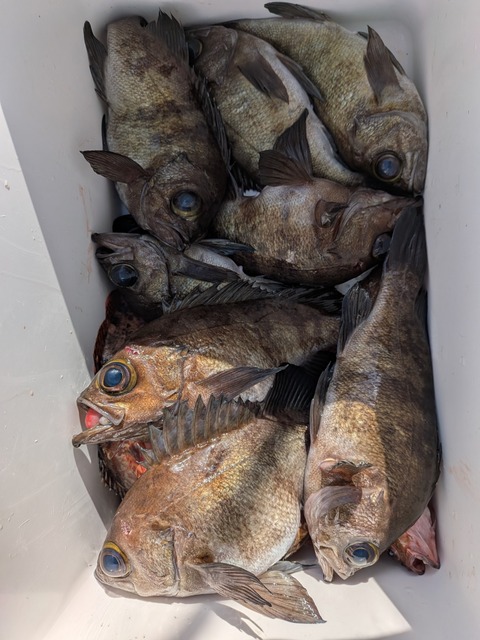 PXL_20260128_045510567