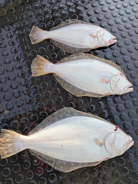 PXL_20251210_063632780