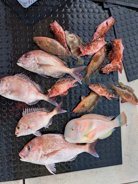 PXL_20251210_063350993