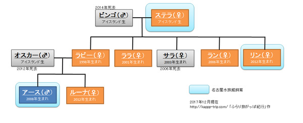シャチ1