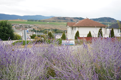 DSC08475