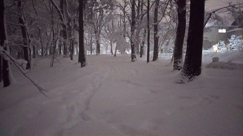 雪景色