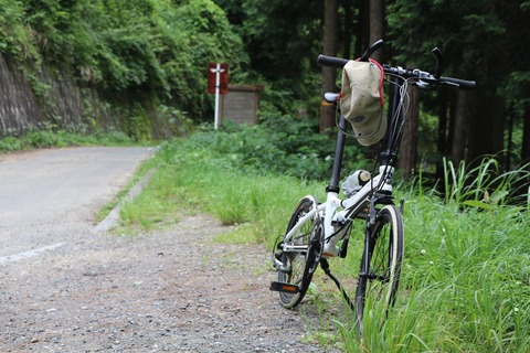 入山峠のダホン