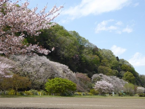 滝ヶ原運動場