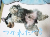 DSCF0961