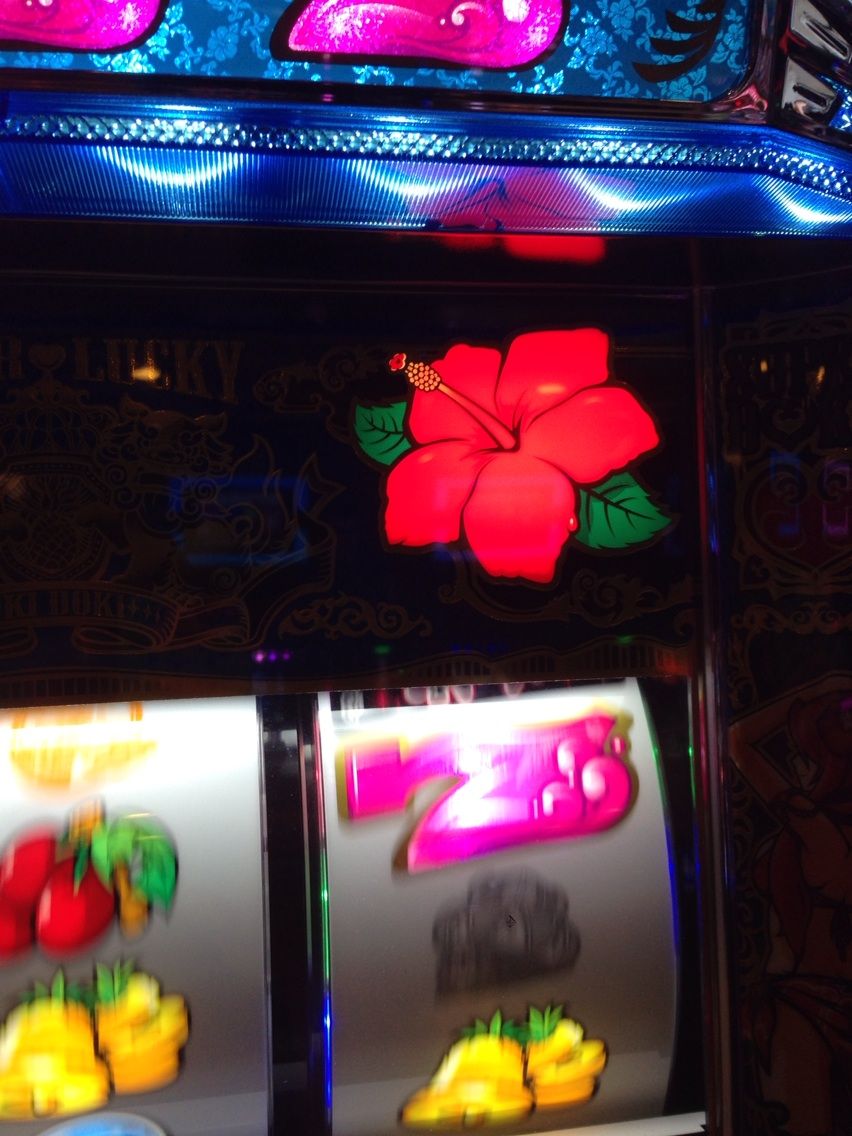ハナハナ ハイビスカス 壁紙 ハナハナ ハイビスカス 壁紙 ハナハナ ハイビスカス 壁紙 ハナハナ ハイビスカス 壁紙