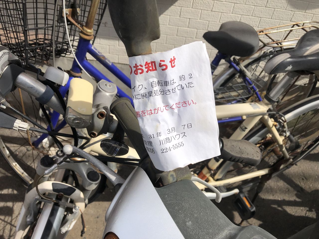 ハローネット鹿児島 blog jp