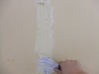 DSCF3313