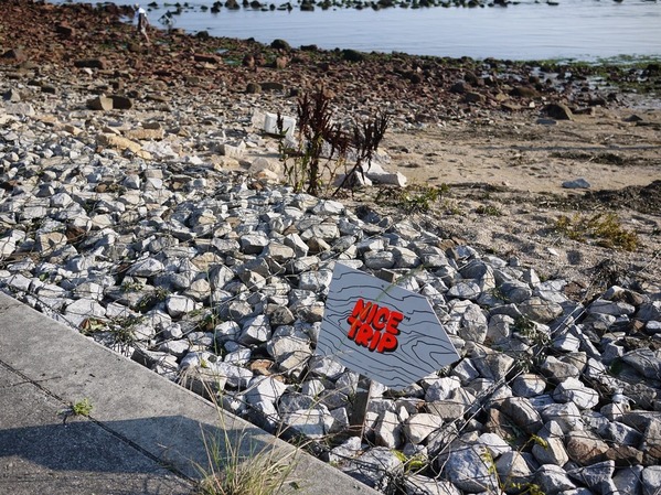 XXXX THE JAMBOREE10ı