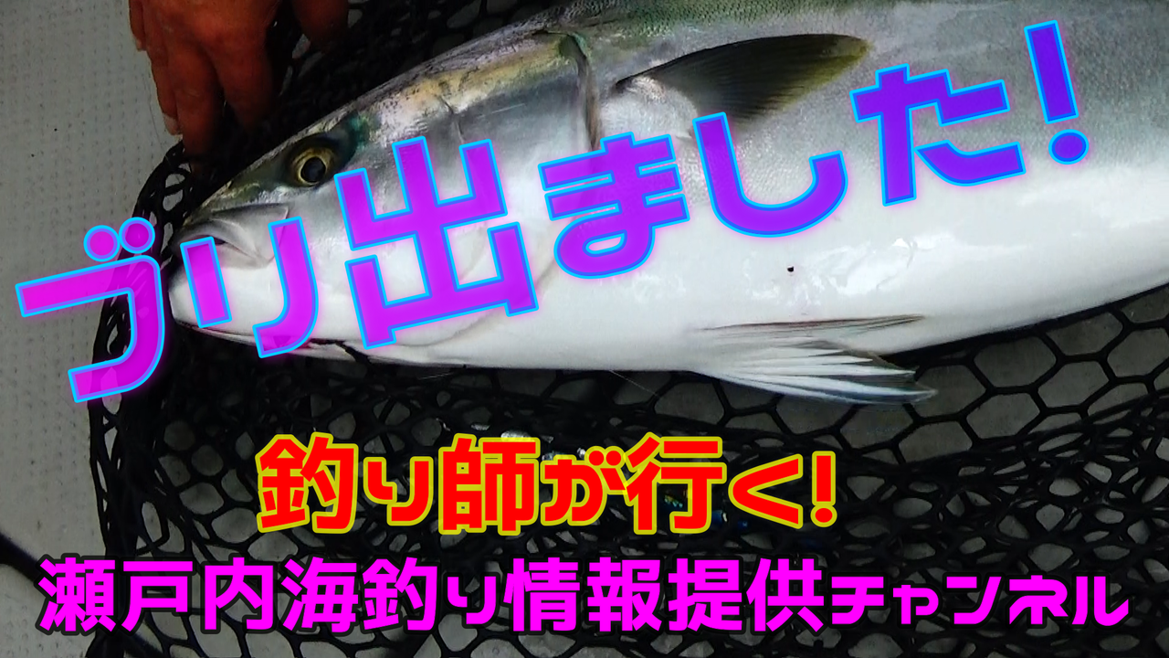 周防大島ジギングブリ出ました 釣り師が行く 周防大島ジギングブリ出ました 釣り師が行く