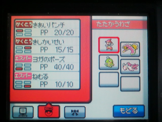 伝説ポケモンの厳選は正直しんどい でも出来たら嬉しい 東方携帯獣4 えぇ ガチではなくネタですが何か 仕事 ゲームな毎日 伝説ポケモンの厳選は正直しんどい でも出来たら嬉しい 東方携帯獣4 えぇ ガチではなくネタですが何か 仕事 ゲームな毎日