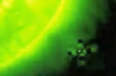 太陽近くのUFO画像04