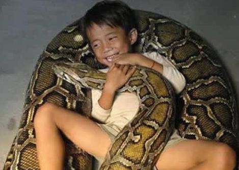 巨大ニシキヘビtop