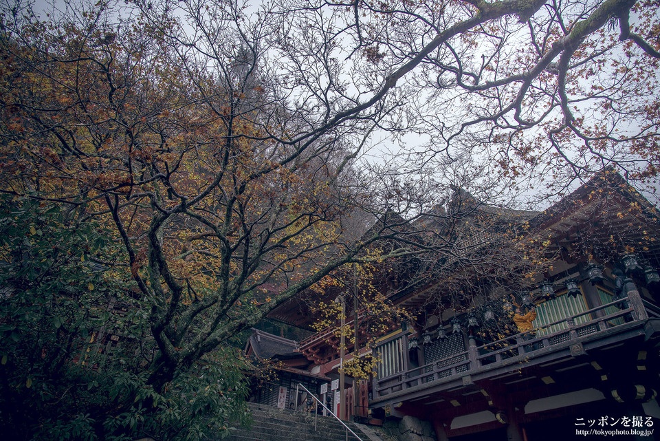 奈良_桜井市_談山神社_0267