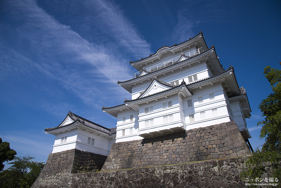 小田原城_160604_0055