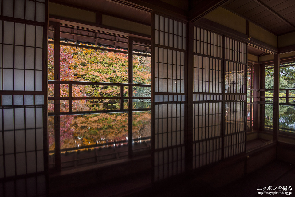 滋賀県_大津市_旧竹林院_181124_0195