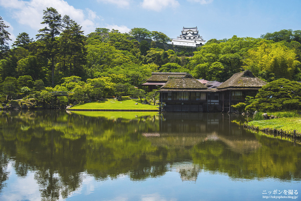 滋賀県_彦根市_彦根城_160531_0017