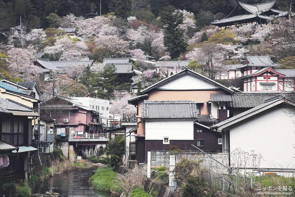 奈良県_桜井市_長谷寺_0377