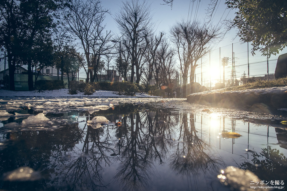 Toneri09_西新井大師西_雪_上沼田東公園_1