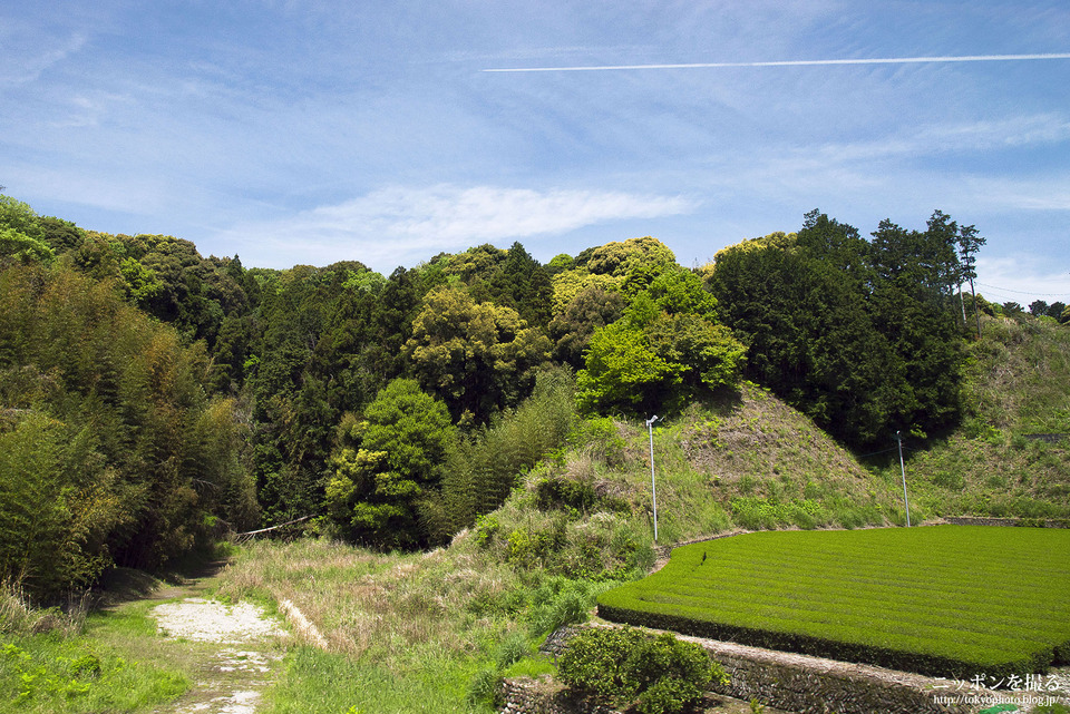 掛川-静岡_160422_0066