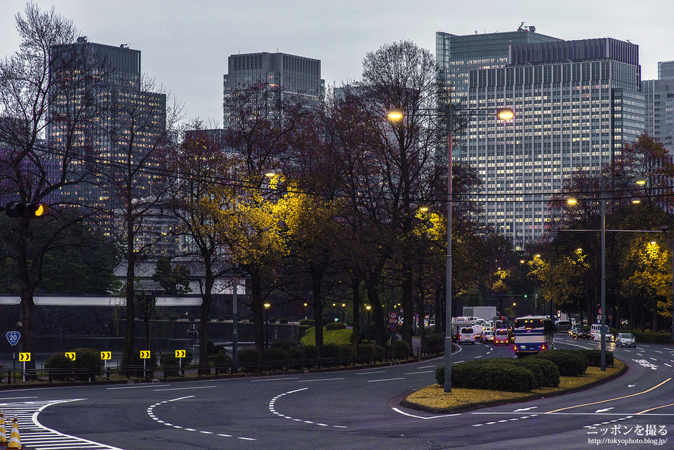 桜田門_Y170001