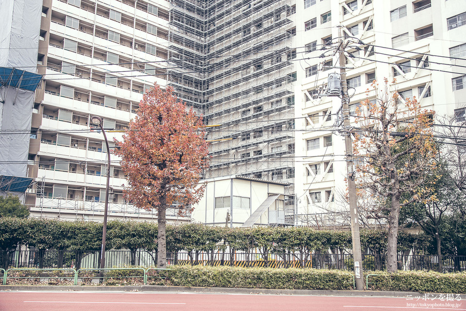 R02_東雲_1