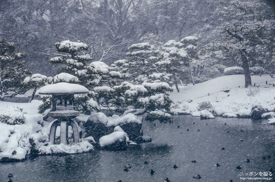 01_東京_江東区_清澄庭園