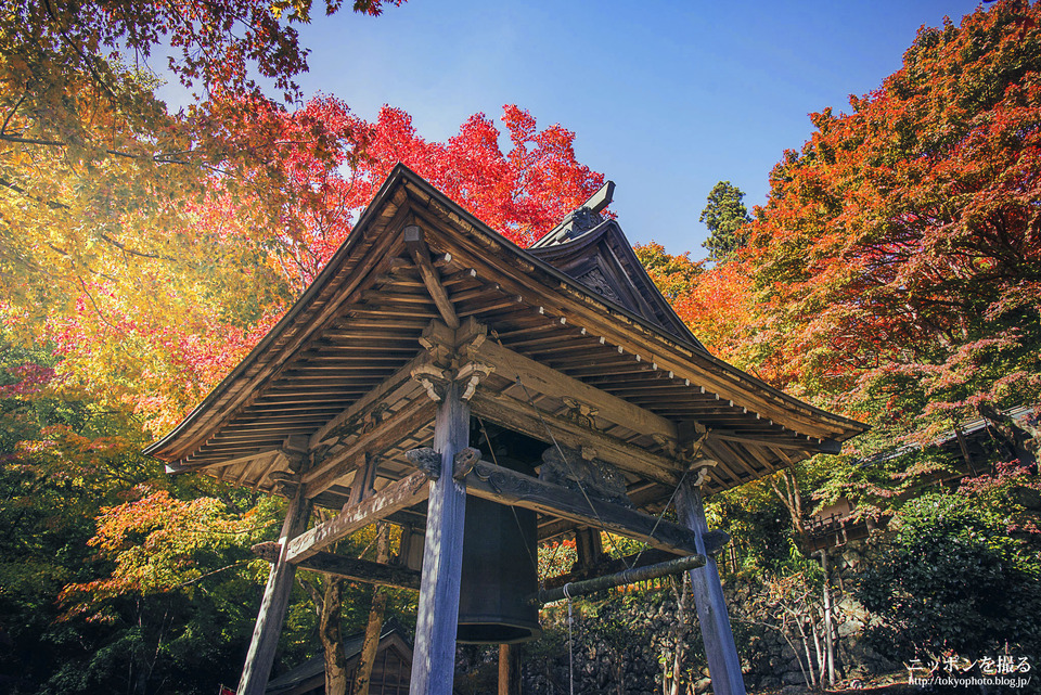 三重_松阪市_泰運寺_0648