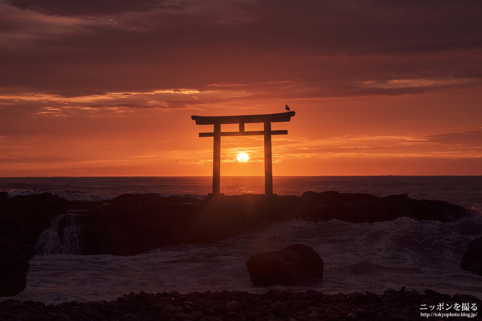 大洗大磯神社_0003