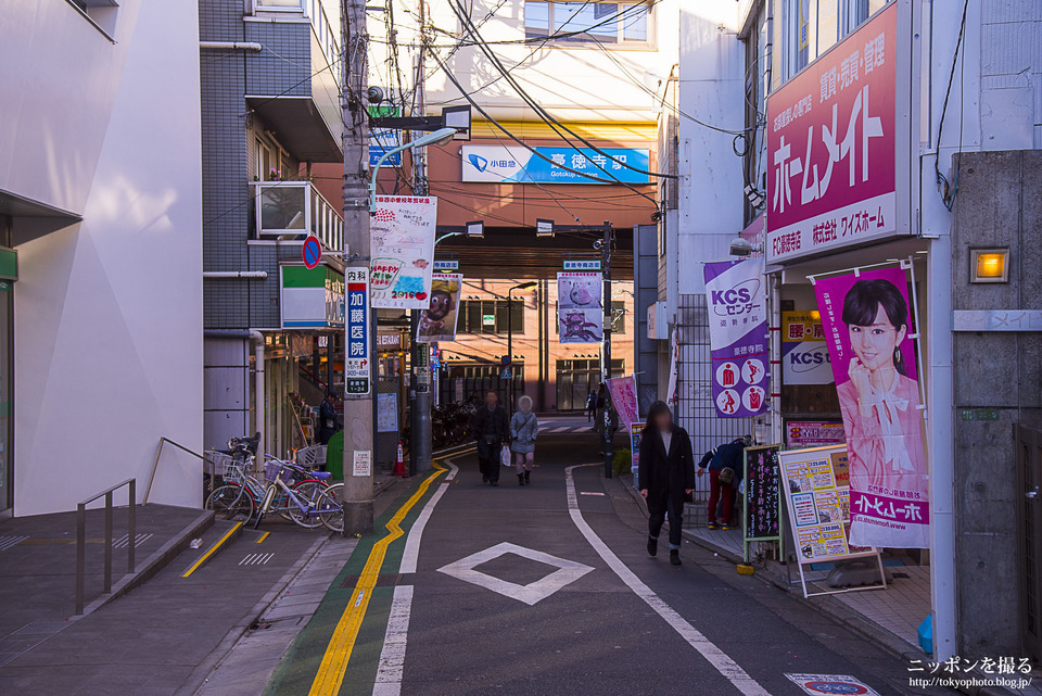 OH10_豪徳寺_山下_2