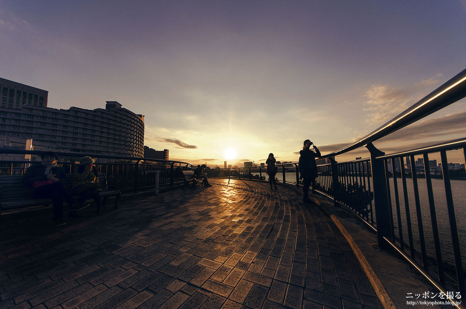 03_東京_港区_お台場海浜公園