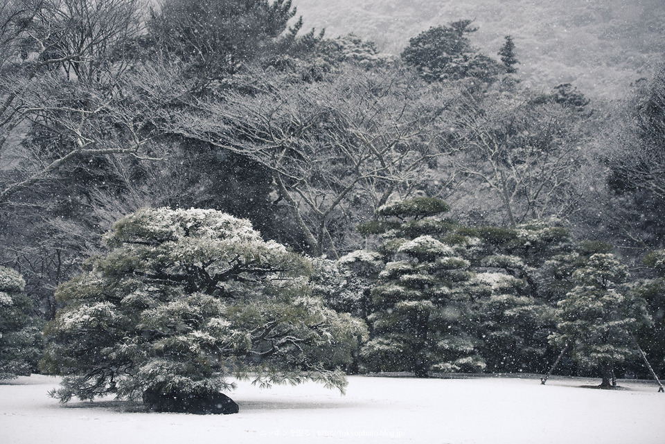 三重県_伊勢市_伊勢神宮_0161