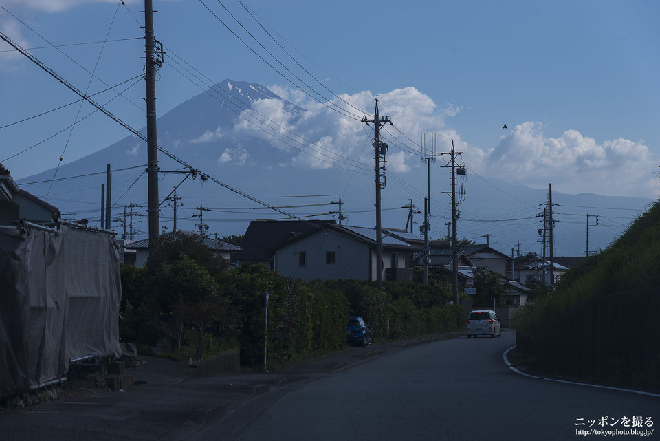 富士市の茶畑_0141