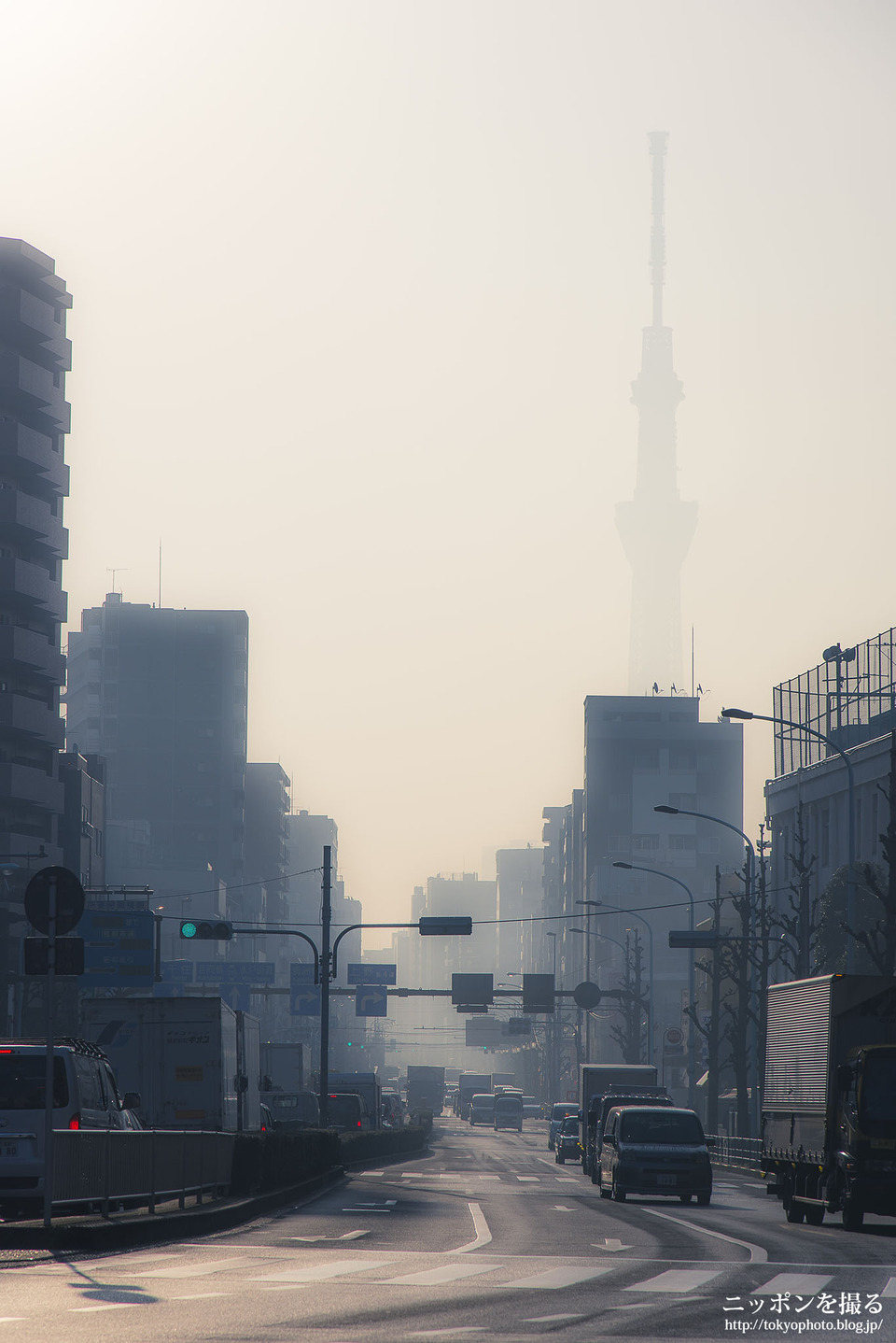 37_東京_台東区_入谷